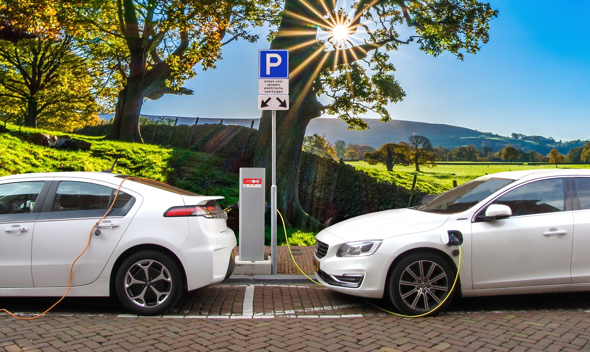 Meglódulhat idén a tisztán elektromos autók eladása